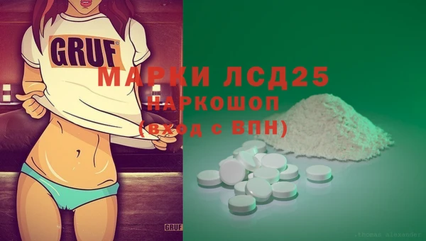гидра Вязьма