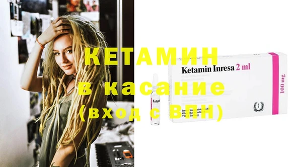гидра Вязьма
