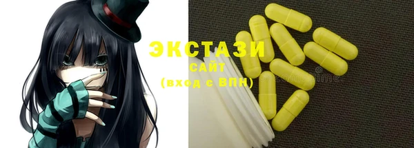 гидра Вязьма