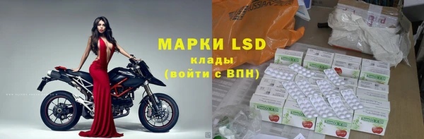 гидра Вязьма