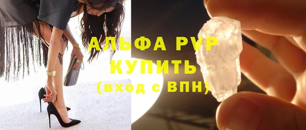 гидра Вязьма