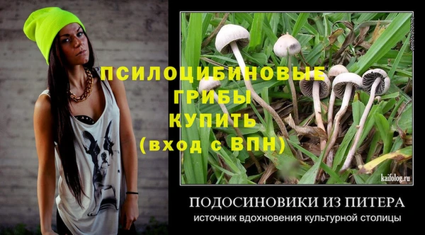 гидропоника Вяземский
