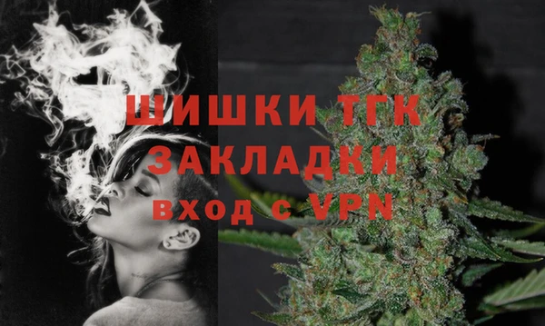 гидра Вязьма