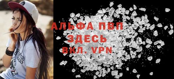 гидра Вязьма