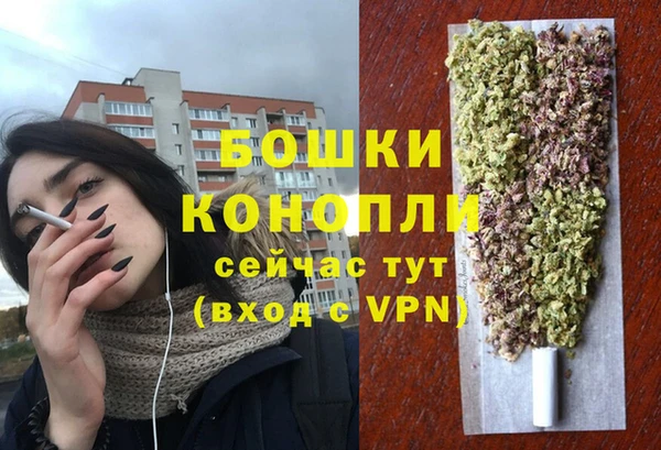 гидра Вязьма