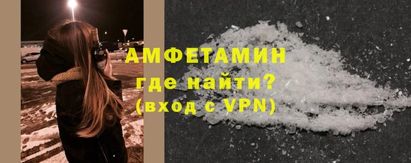 гидра Вязьма