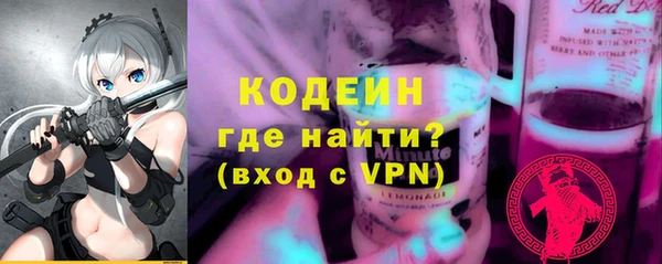 гидра Вязьма